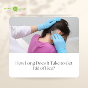 Professional lice treatment in Abu Dhabi for fast and safe head lice removal.