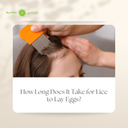 Professional lice treatment specialist providing safe and effective lice egg removal in the UAE.
