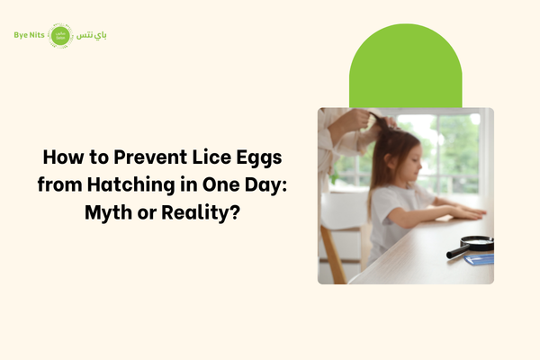How to Prevent Lice Eggs from Hatching in One Day Myth or Reality