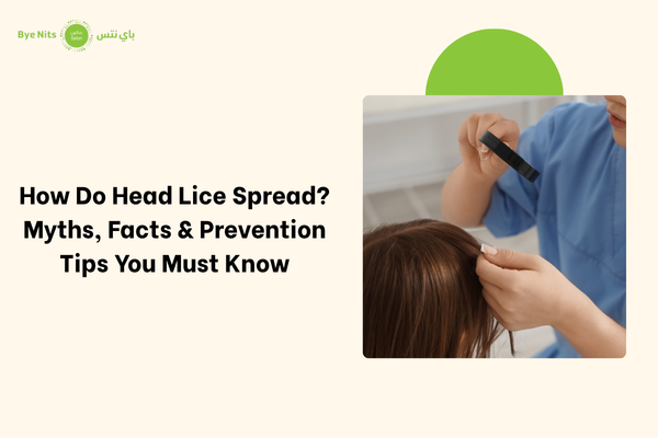 How Do Head Lice Spread Myths, Facts & Prevention Tips You Must Know