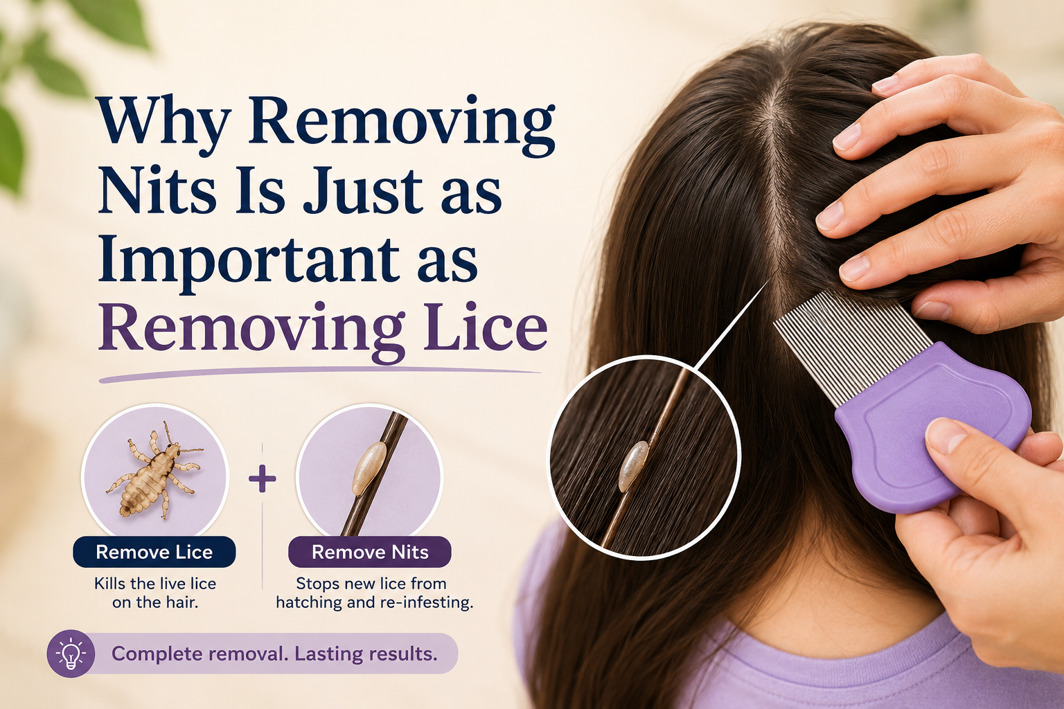 Why Removing Nits Is Just as Important as Removing Lice